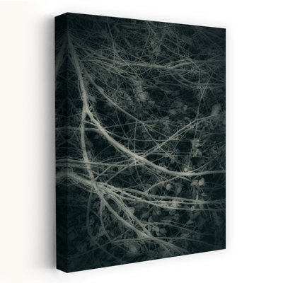 Contemporary Art Classic Gothic Retro Nature Landscape Wall Art by Angelo Cerantola - Wrapped Canvas Print
