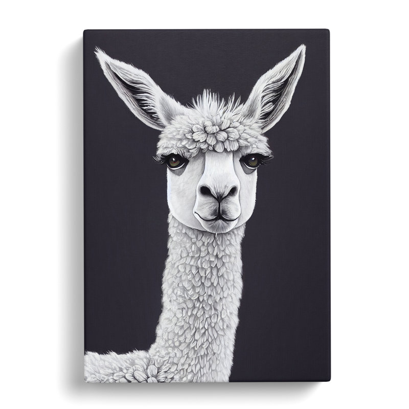 Inshore Face Of A Llama Vol.2 - Wrapped Canvas, 76cm H x 50cm W x 3cm D