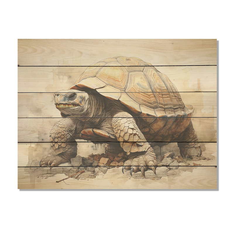 Minimalisme, tortue I - art mural panneau de bois de tortue sur bois de pin naturel, H 24 po x l 32 po