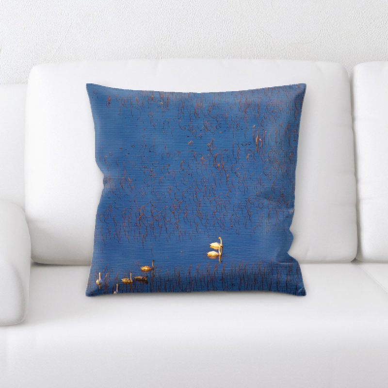 Coussin swan