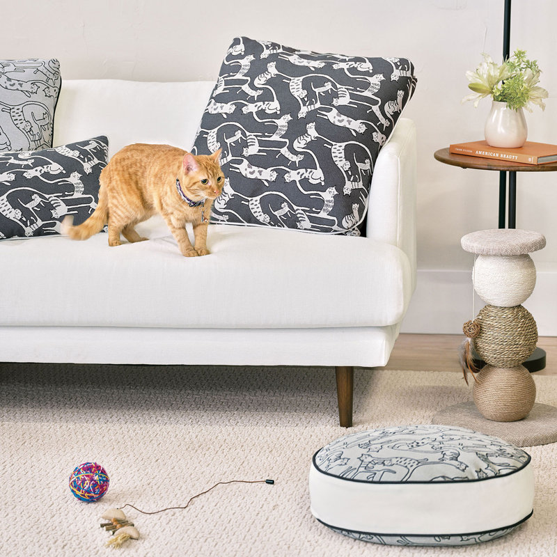 Housse et insert de coussin décoratif en polyester pour animaux de compagnie, Ivoire / Gris