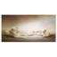 Animal «White Lion Family», impression-35105391-35105394