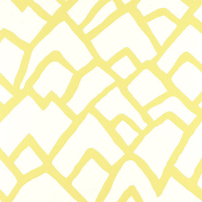 Zimba Wallpaper