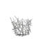 Blow Up Citrus Basket