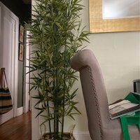 PIANTA BAMBOO X9 H205cm-1280 foglie PN*, 102.180, piante fiori  artificiali piante