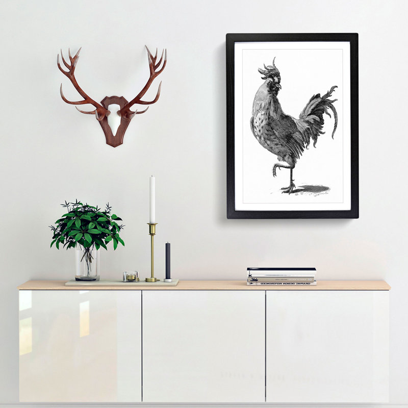 A Cock In Black And White by Johan Teyler - Single Picture Frame Print, Black Framed, 45cm H x 33cm W x 2cm D