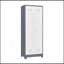 Armoire de rangement polyvalente en métal avec porte verrouillable pour divers espaces