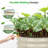 Muffin 16.7" Tall Metal Raised Garden Bed-75187773