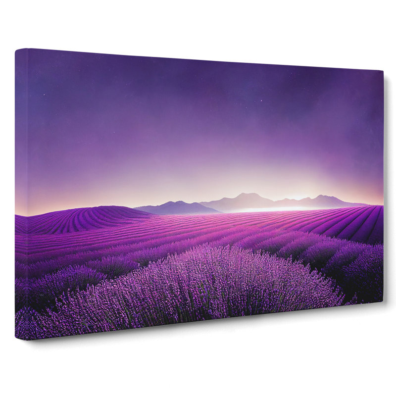 Sparkling Lavender Flower Field - Wrapped Canvas Print, 50cm H x 76cm W x 3cm D