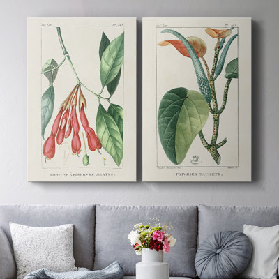Turpin Tropical Botanicals I-Premium Gallery Wrapped Canvas -Ready to Hang