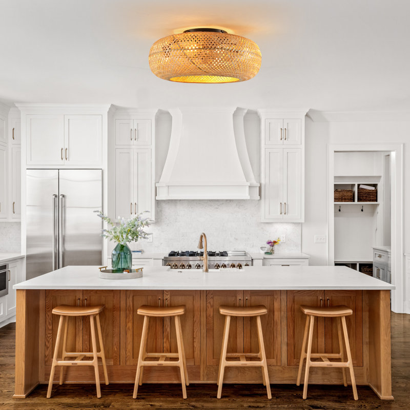 Ventilateur de plafond en cage 19,68 po avec ensemble de 4 lumières et télécommande