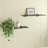 Haag Glass Floating Shelf (Set of 2)-711377300