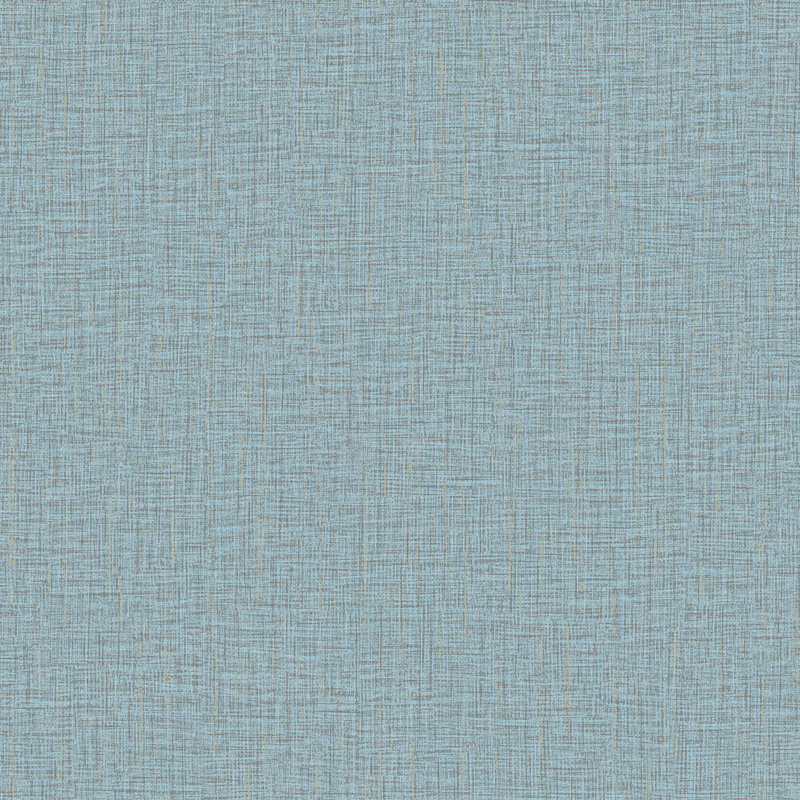 Rouleau de papier peint L 33 pi x l 20,9 po Dasharia, Bleu clair