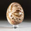 Petrified Wood Egg