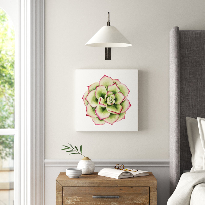 Tropical Plant IV by Grace Popp - Wrapped Canvas Painting, 51cm H x 51cm W