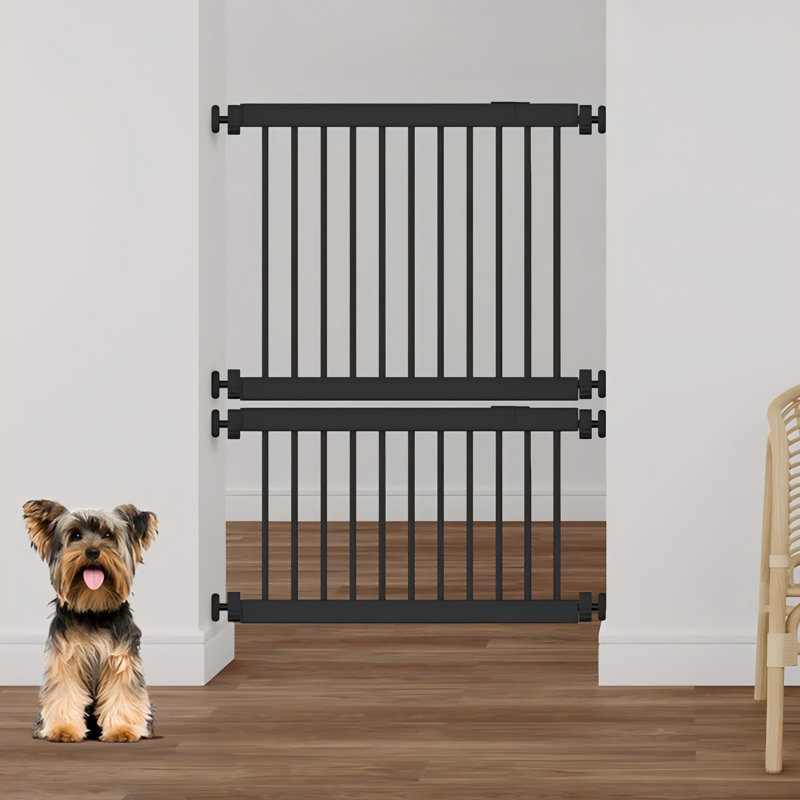 Porte pour chien 10 po, Noir