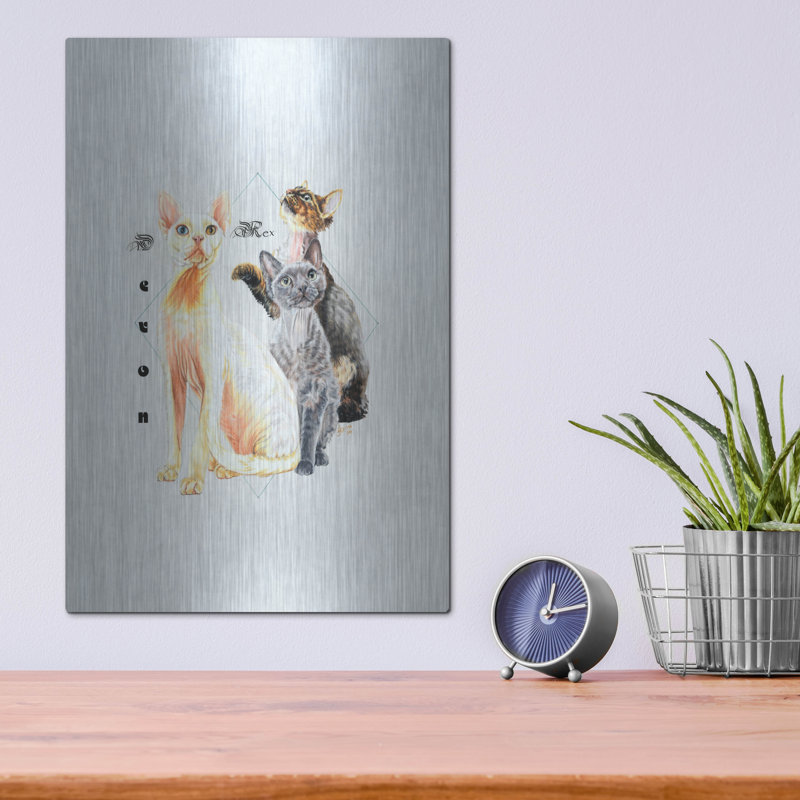"Devon Rex" par Barbara Keith, H 16 po x l 12 po