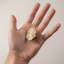Poignée fantaisie 1,4 po de diamètre-111766770