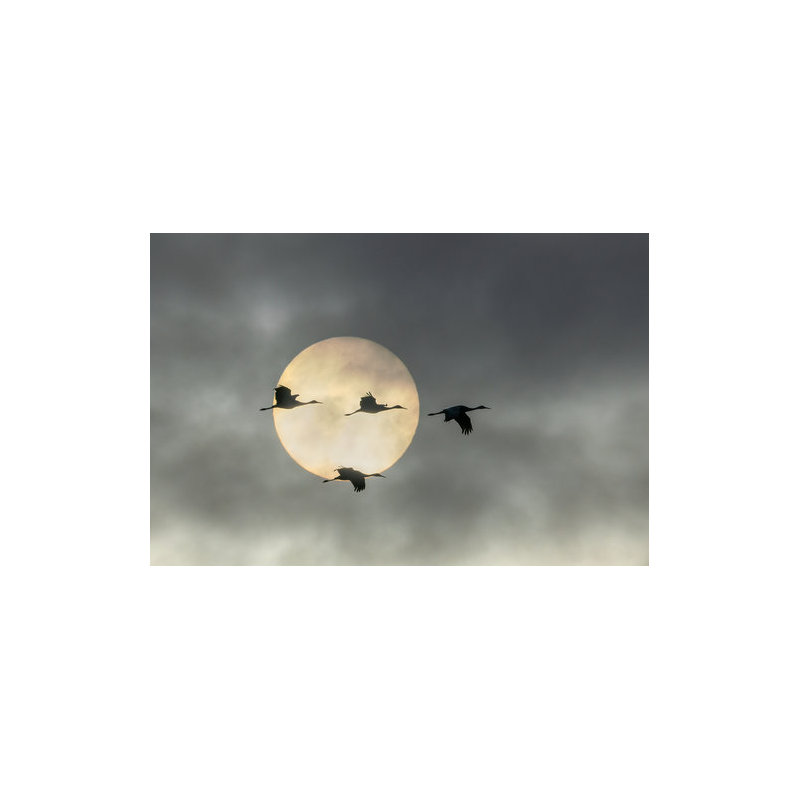 Wrapped Canvas Print, 50.8 cm H x 76.2 cm W