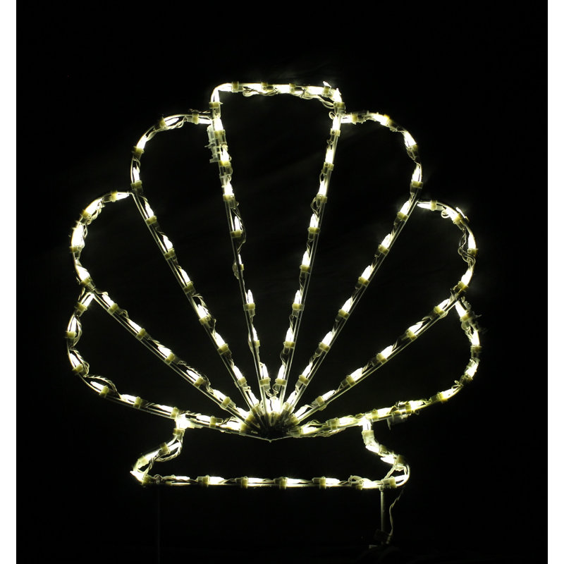 Scallop Nautical Holiday Lighted Display