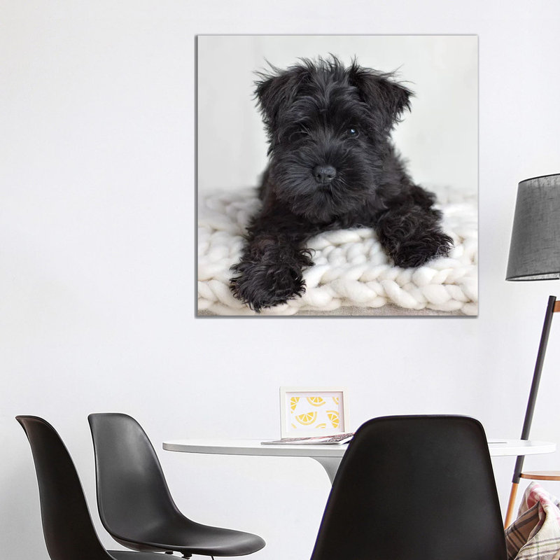 Neddy 1 Piece Wall Art on Canvas, 93.98 cm H x 93.98 cm W x 1.91 cm D, Wrapped Canvas