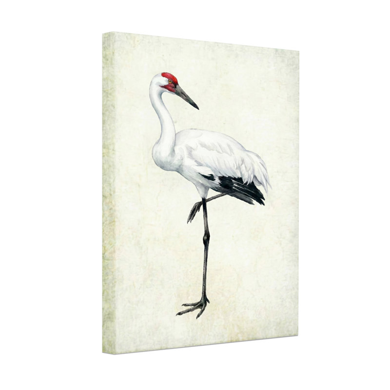 Animaux, grue blanche avec couronne rouge, H 18 po x l 12 po