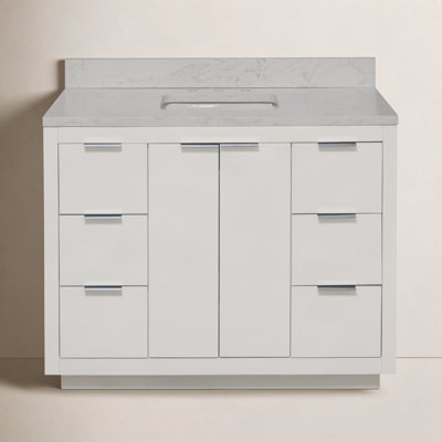 Anastazia 48'' Single Bathroom Vanity