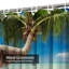 Magnifique rideau de douche avec 12 crochets-1155795973