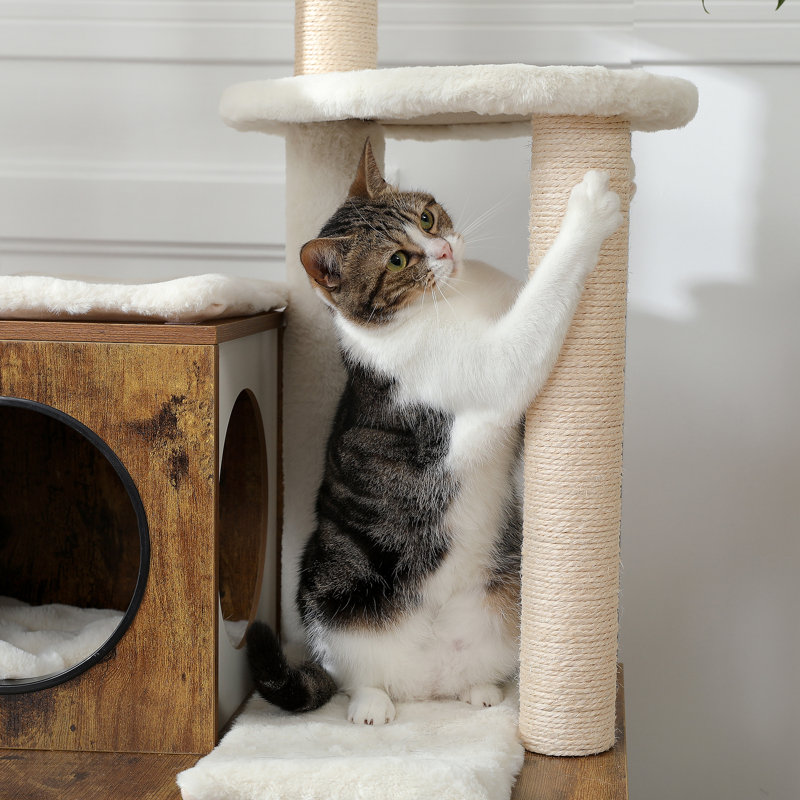 Emrynn 50'' H Cat Tree, Rustic Brown/Beige