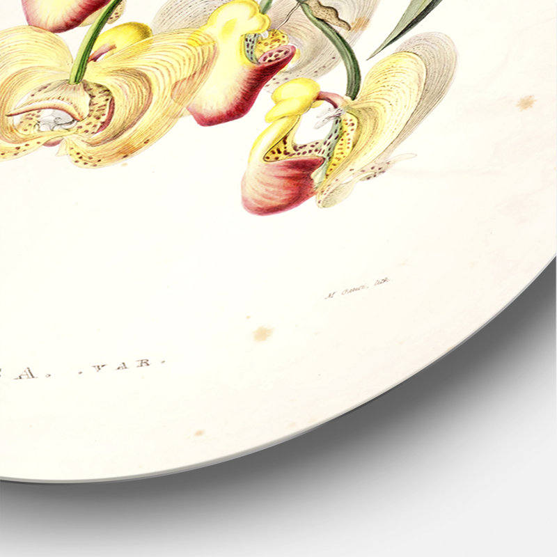 «Vintage Blossoming Flower I», art mural traditionnel en métal, H 11 po x l 11 po x p 1 po