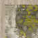 Mahtotopa Abstract Indoor Rug
