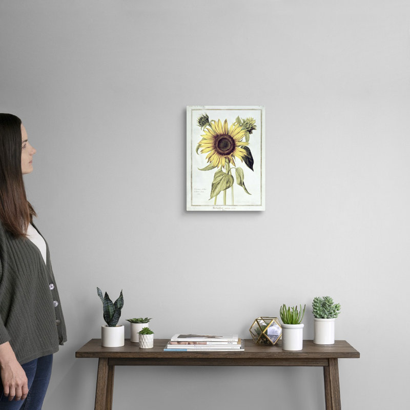 Helianthus Annuus (tournesol), art mural sur toile, Toile tendue, H 12 po x l 16 po x P 1,25 po