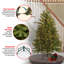 North Valley 72" Green Spruce Artificial Christmas Tree with 400 White Clear Lights with Tree Stand-743353194