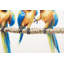 Hand -painted acrylic painting Parrot Party