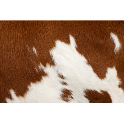Peau de vache par Lya_Cattel
