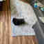Photos des clients 1 de 1