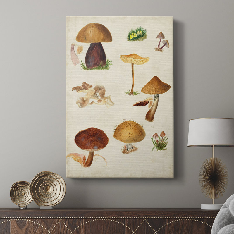 Mushroom Species II - galerie sur mesure, H 12 po x l 8 po