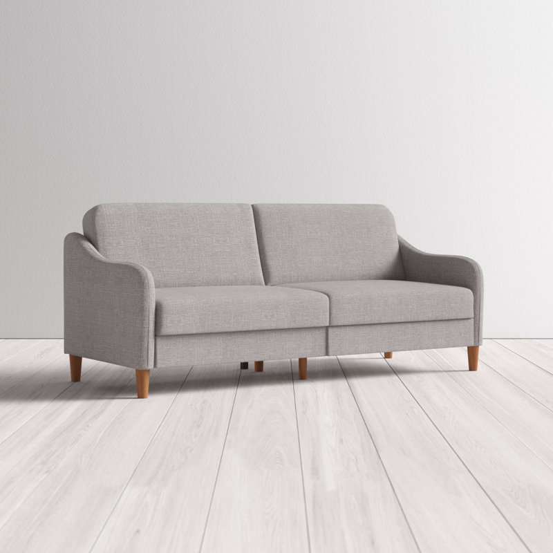 2 Seater Linen Blend Sleeper, Light Gray Performance