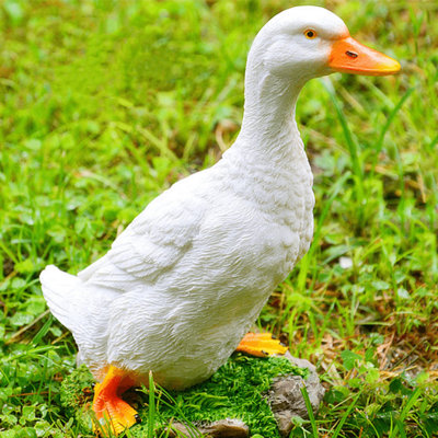 Real Farm Duck Statues