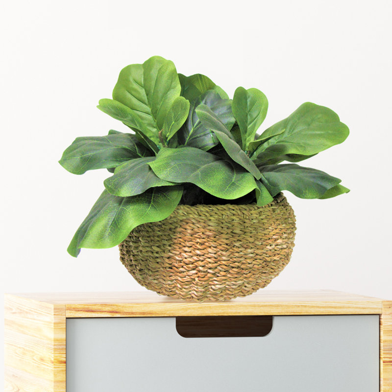 Figuier artificiel 15 po en panier Brightling