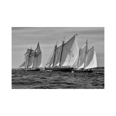 Gloucester Schooner Race In Black And White by Zoe Schumacher - No Frame Print on Canvas