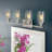 6.5'' H Glass Drum Wall Sconce Shade