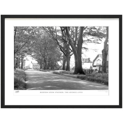 Burton Upon Stather, The Avenue C1955 by Francis Frith - Single Picture Frame Print