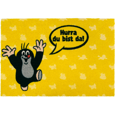 Non-Slip Doormat