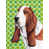 Basset hound 1