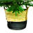 28 " H Faux Palm Plant in Wicker/Rattan Pot