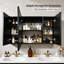 Daciano 100cm W 60cm H Surface Mount Mirror Cabinet 