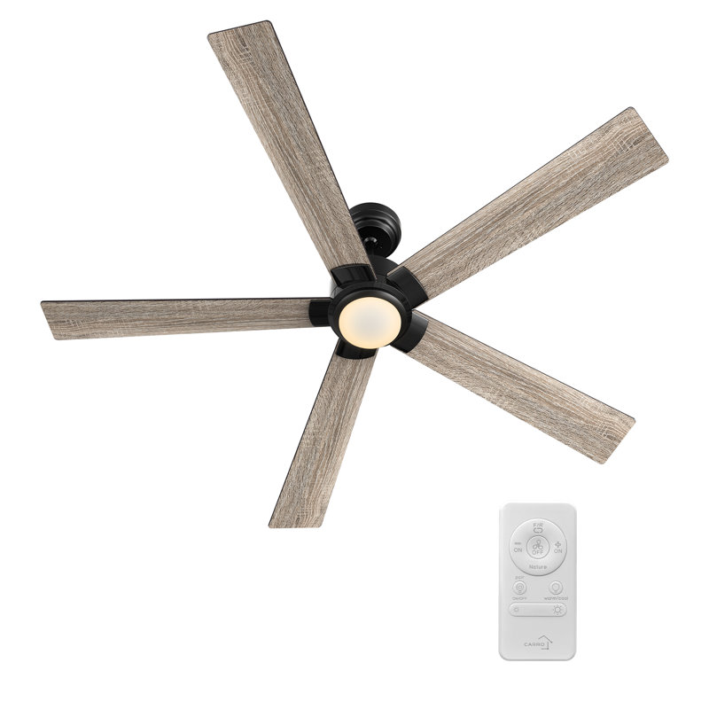 Ventilateur de plafond avec lumières DEL , Noir