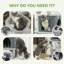Arbre à chat 41 po avec poteaux à griffer, lit à chat, condo, gris clair 41 po