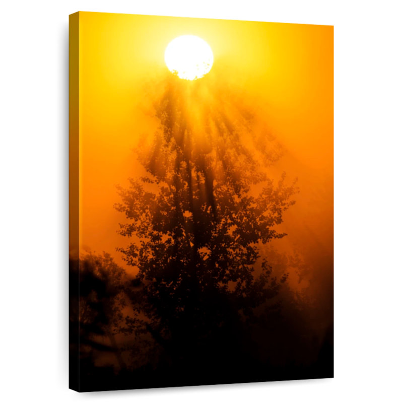 Harnek Lone Juniper Tree, 51" H x 34" W